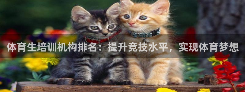 富联娱乐话 5O6917 富联：体育生培训机构排名：