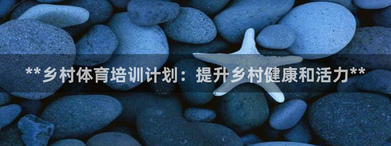 富联平台马 411O31 富联：**乡村体育培训计划