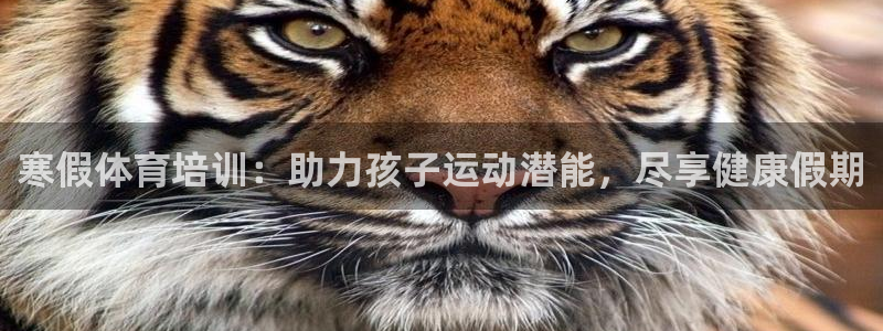 富联平台招 37oo735：寒假体育培训：助力孩子运