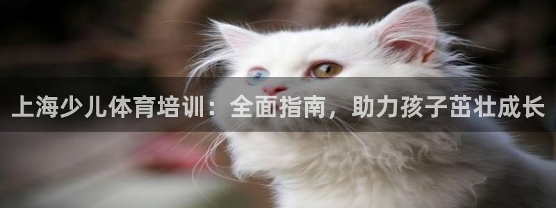 富联食品：上海少儿体育培训：全面指南，助力孩子茁壮成