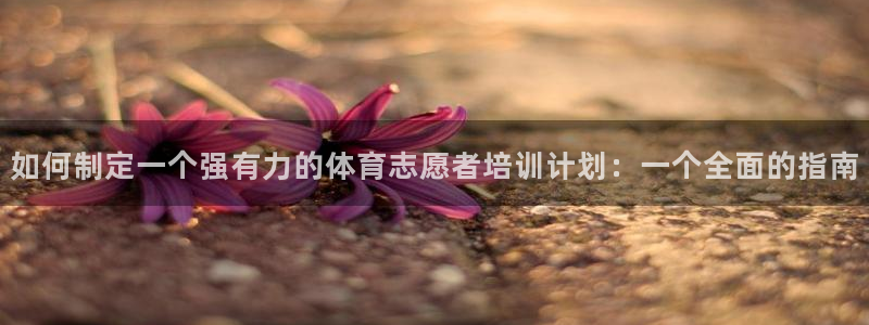 富联官网注册流程图片：如何制定一个强有力的体育志愿者