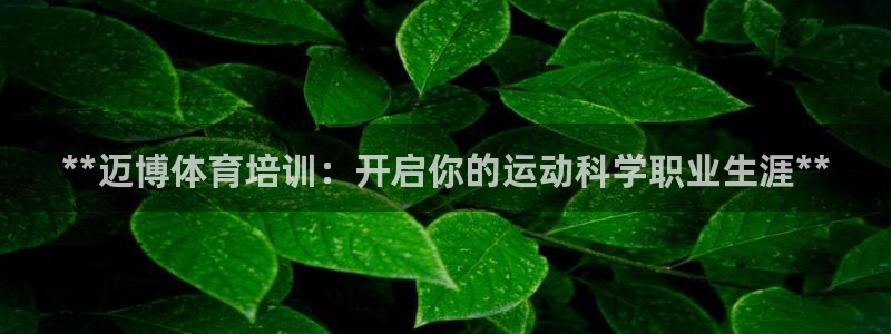 富联平台上级下级是什么意思：**迈博体育培训：开启你