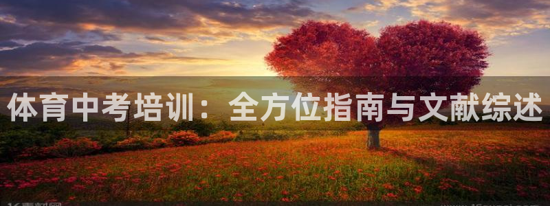 富联食品：体育中考培训：全方位指南与文献综述