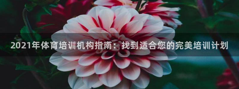 富联平台容7O777：2021年体育培训机构指南：找