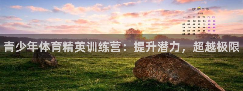 富联食品：青少年体育精英训练营：提升潜力，超越极限
