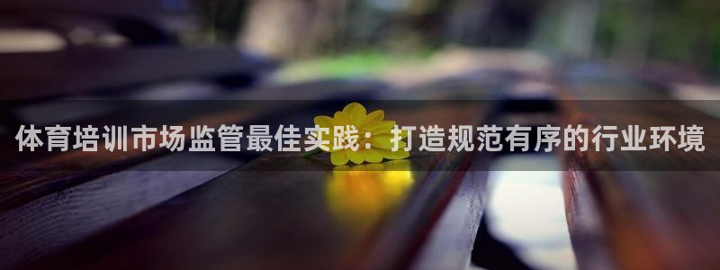富联娱乐平台怎么样：体育培训市场监管最佳实践：打造规