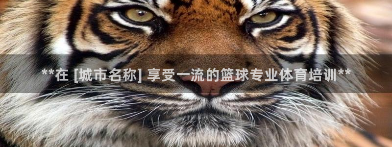 富联平台主管：**在 [城市名称] 享受一流的篮球专