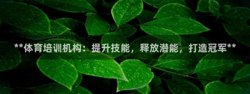 富联娱乐官方网站：**体育培训机构：提升技能，释放潜