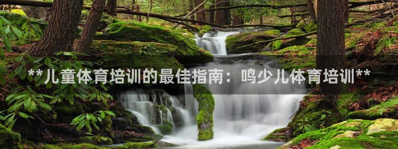 富联工坊：**儿童体育培训的最佳指南：鸣少儿体育培训