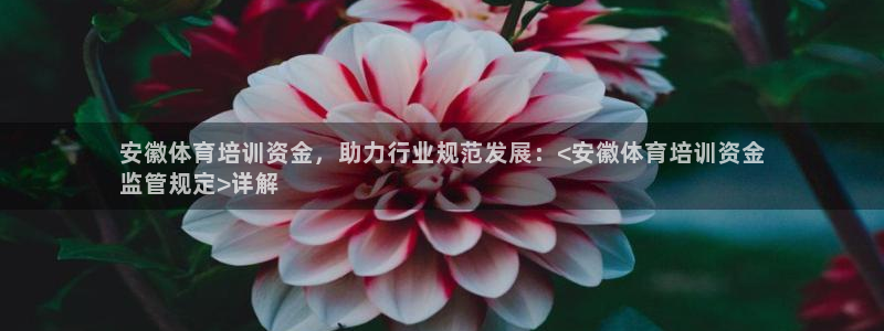 富联平台间7O777：安徽体育培训资金，助力行业规范