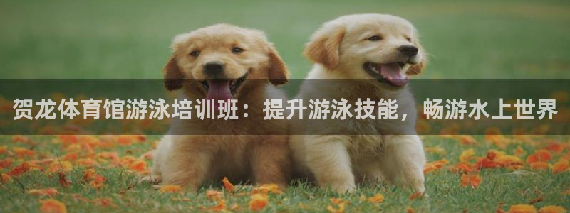 富联娱乐股东结构：贺龙体育馆游泳培训班：提升游泳技能