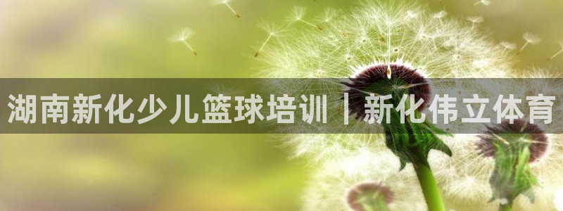 富联集团最新消息今天：湖南新化少儿篮球培训｜新化伟立