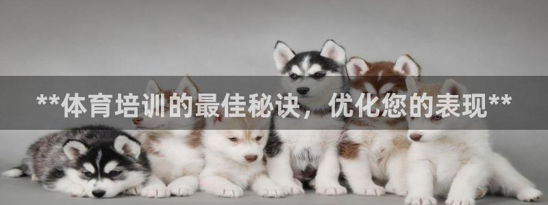 香港富联国际集团：**体育培训的最佳秘诀，优化您的表