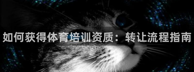 富联官网注册流程图：如何获得体育培训资质：转让流程指