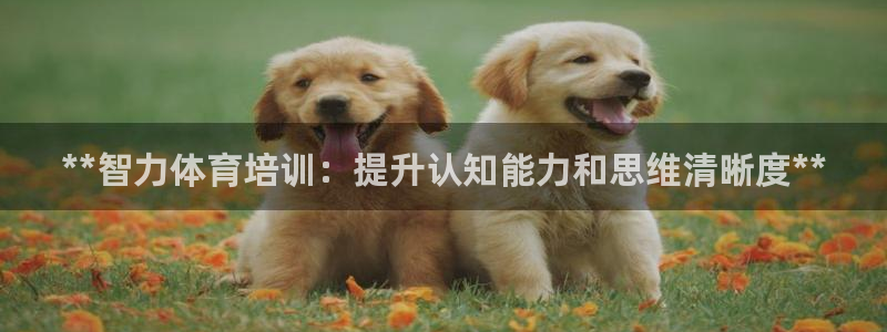 富联官网注册不了账号吗：**智力体育培训：提升认知能