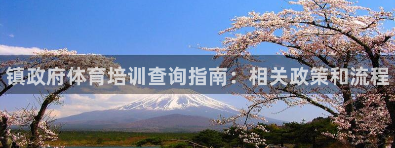 富联官方网站入口网址查询：镇政府体育培训查询指南：相