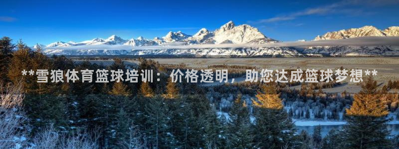 富联娱乐官方网站首页下载：**雪狼体育篮球培训：价格