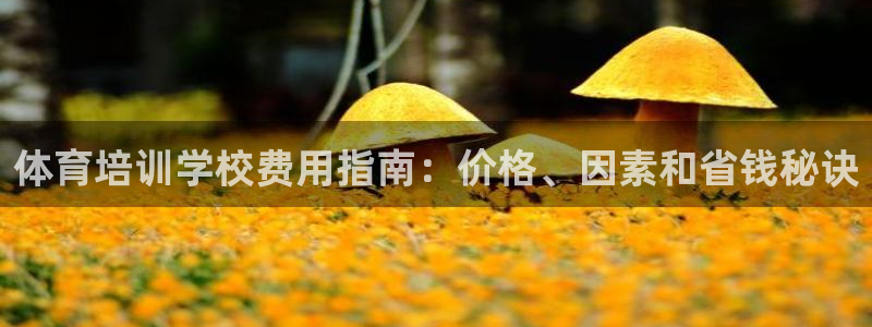 富联平台木 5o69I7：体育培训学校费用指南：价格