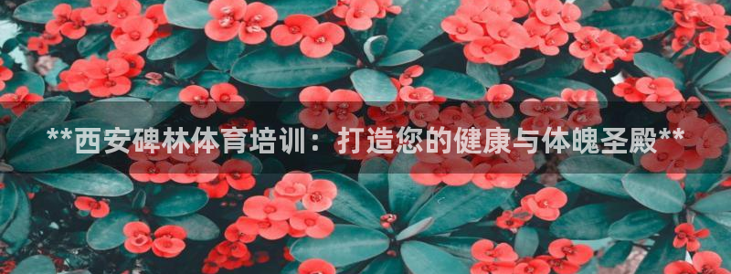 富联娱乐老板是哪里人：**西安碑林体育培训：打造您的