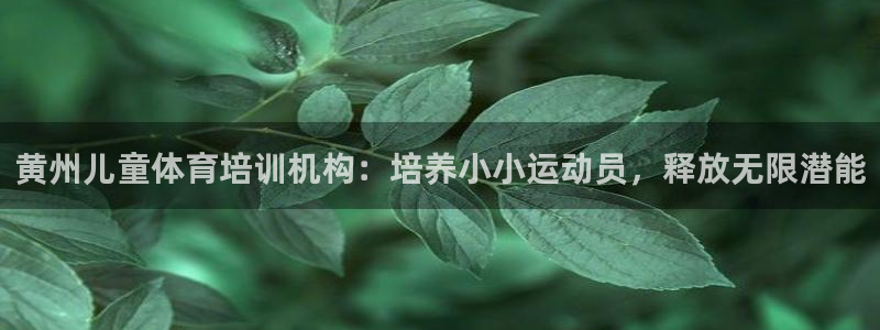 富联平台开户条件：黄州儿童体育培训机构：培养小小运动