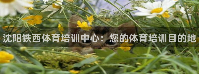 富联平台登录网址：沈阳铁西体育培训中心：您的体育培训