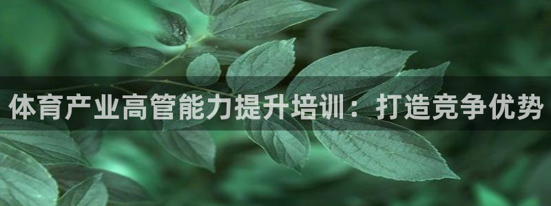 富联娱乐卜6.7.5.1.3.8：体育产业高管能力提