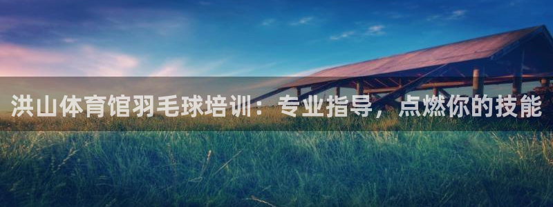 富联娱乐客户端app下载服务器异常：洪山体育馆羽毛球