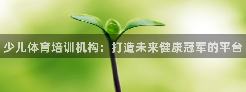 富联娱乐客服微信号是多少：少儿体育培训机构：打造未来健康冠军