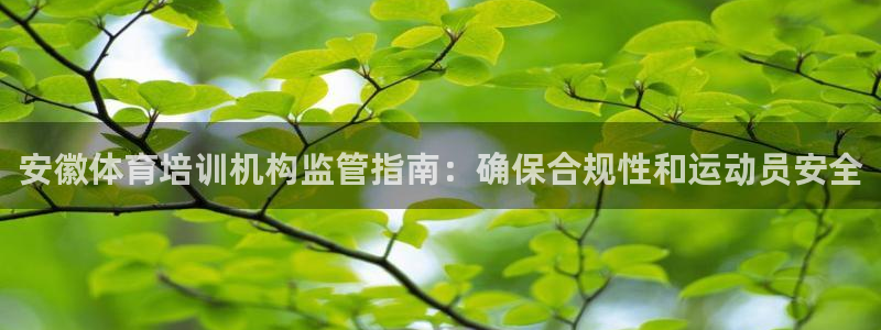 富联平台先选 58534I 富联：安徽体育培训机构监