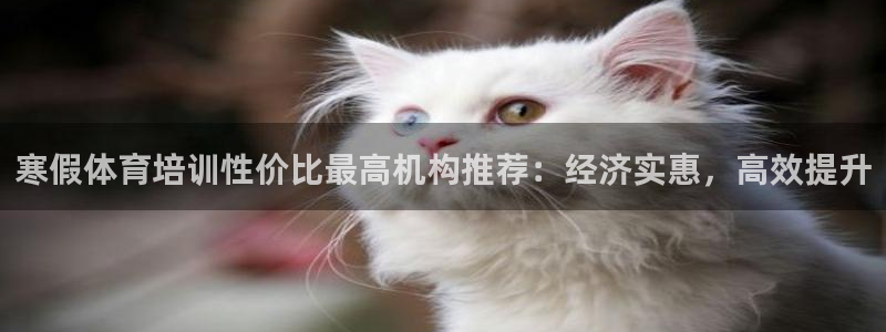富联娱乐平台开户：寒假体育培训性价比最高机构推荐：经