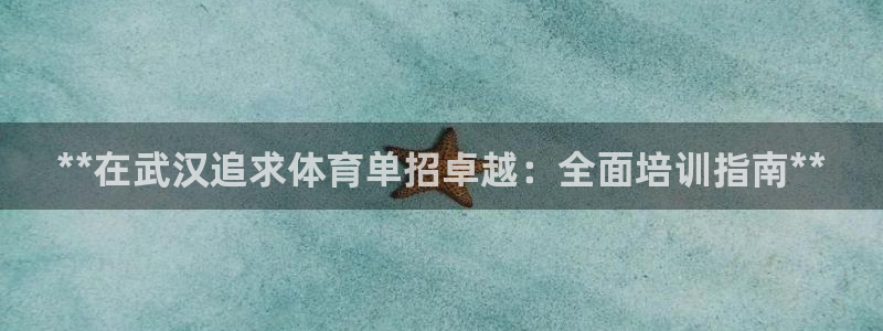 富联娱乐怎么样可靠吗：**在武汉追求体育单招卓越：全