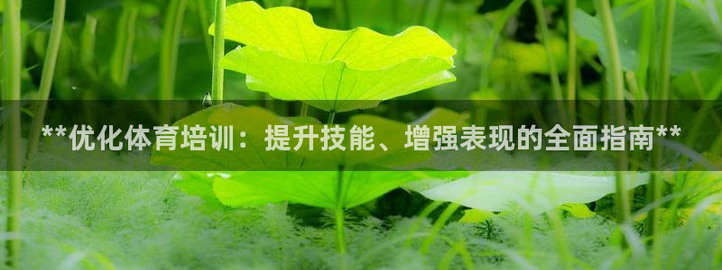富联平台界7O777：**优化体育培训：提升技能、增