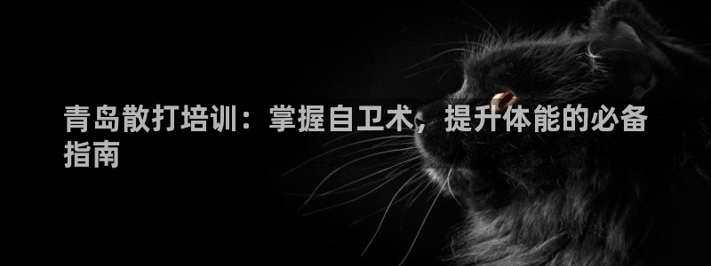 富联娱乐测速软件下载：青岛散打培训：掌握自卫术，提升