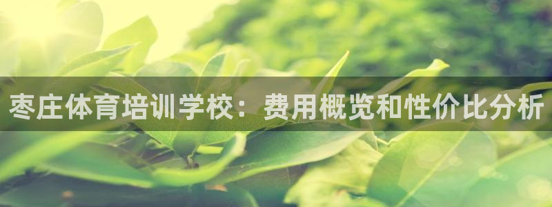 富联平台人 5O6917 富联：枣庄体育培训学校：费