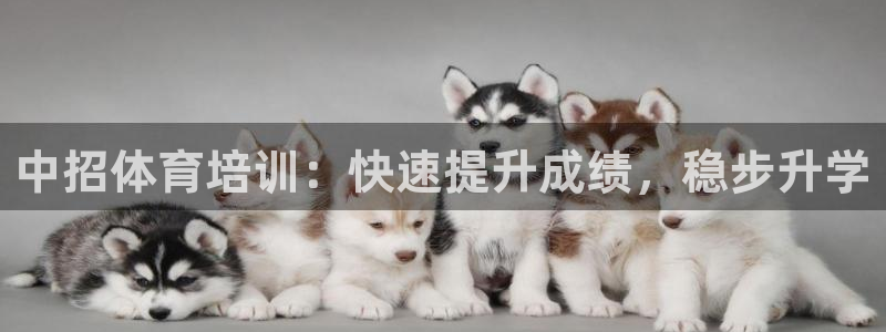 富联一区属于哪个街道：中招体育培训：快速提升成绩，稳