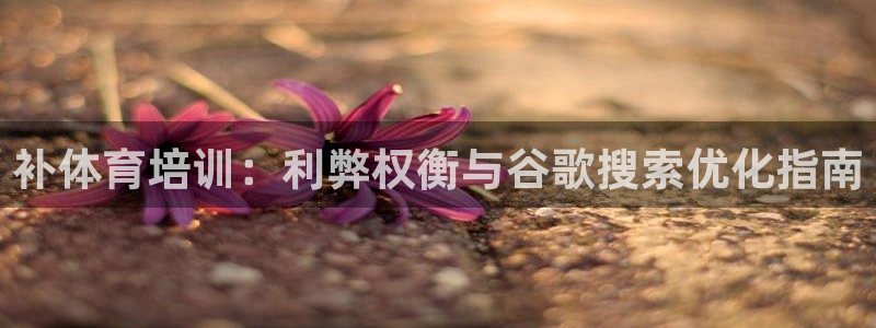 富联娱乐登录地址：补体育培训：利弊权衡与谷歌搜索优化