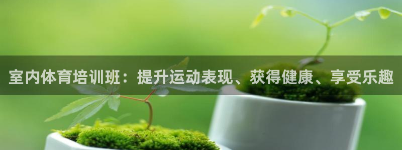富联官网注册流程视频：室内体育培训班：提升运动表现、