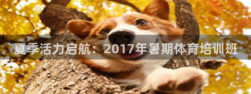 富联芯科技：夏季活力启航：2017年暑期体育培训班