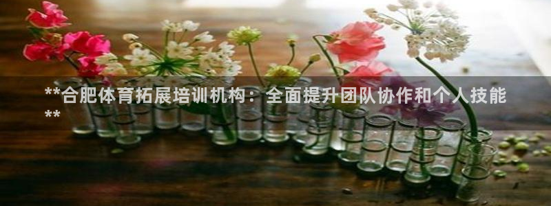 富联平台先 3.7.OO.7.3.5：**合肥体育拓