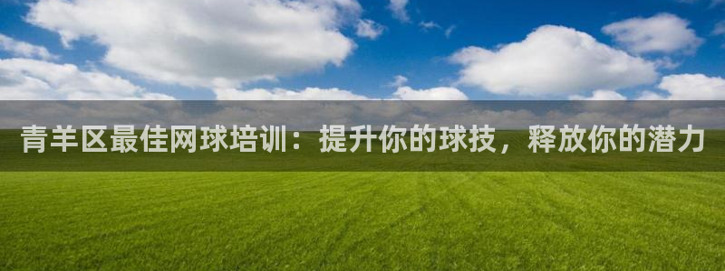 富联公寓：青羊区最佳网球培训：提升你的球技，释放你的