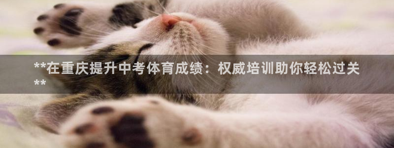 富联娱乐总代：**在重庆提升中考体育成绩：权威培训助