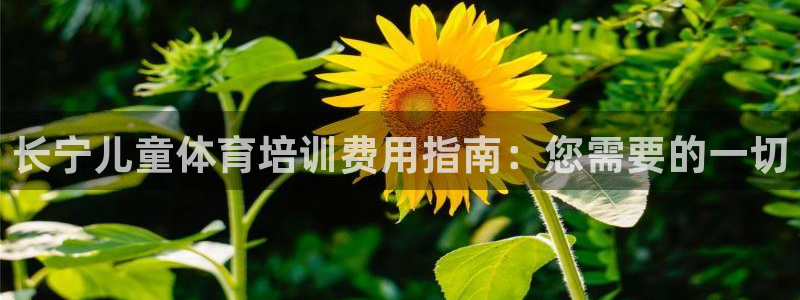 富联文体