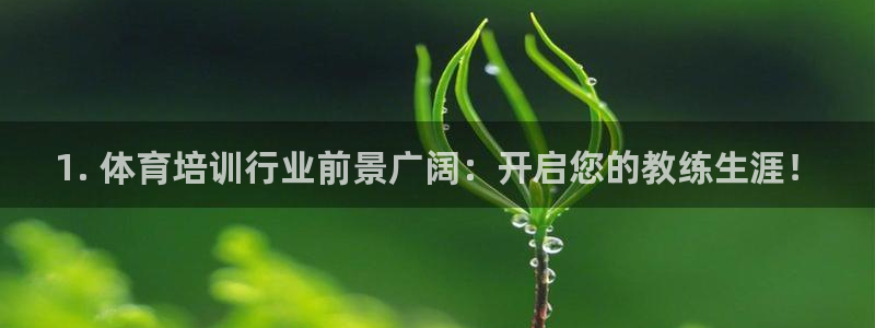 富联申购可以赚多少钱：1. 体育培训行业前景广阔：开