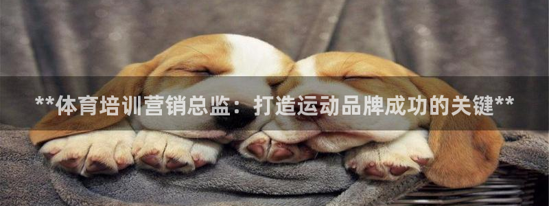 富联是什么平台：**体育培训营销总监：打造运动品牌成
