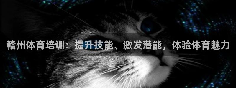 富联娱乐平台能挣到钱吗：赣州体育培训：提升技能、激发