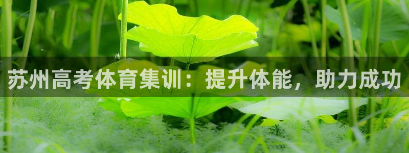 富联申购是什么股票啊：苏州高考体育集训：提升体能，助