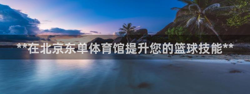 富联商标：**在北京东单体育馆提升您的篮球技能**