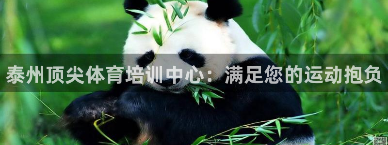 富联平台主管：泰州顶尖体育培训中心：满足您的运动抱负