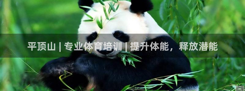 富联平台用户登陆不了：平顶山 | 专业体育培训 | 