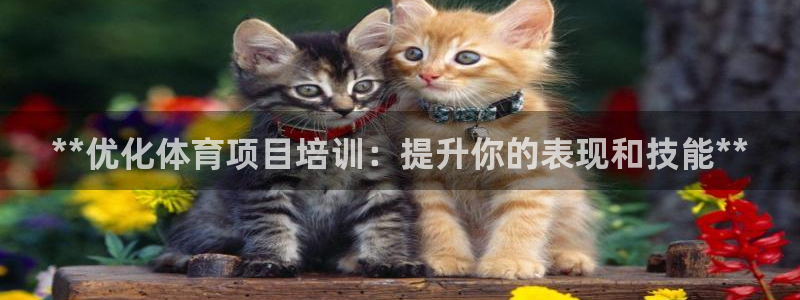 富联平台联 5O6917 富联：**优化体育项目培训